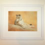Lioness wildlife signed limited edition giclee print