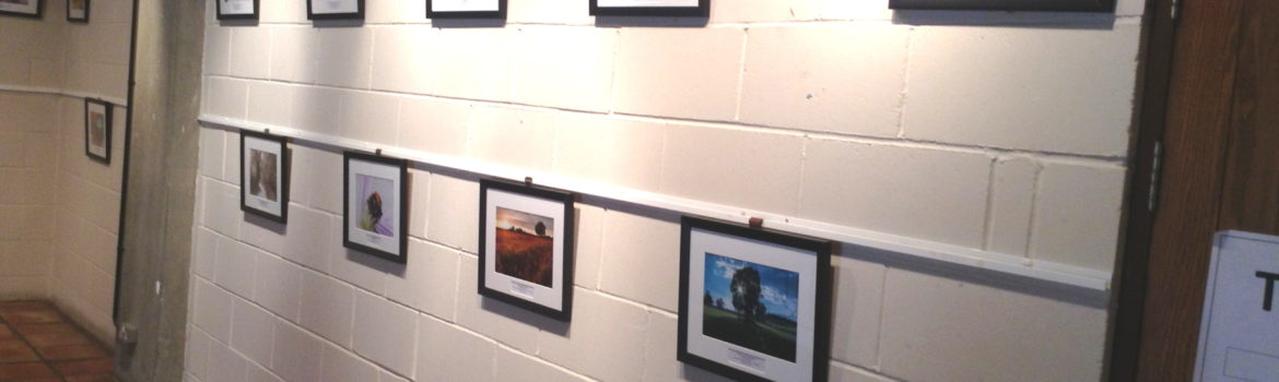 Stephanie Drury - Surrey Life testimonial photo Denbies