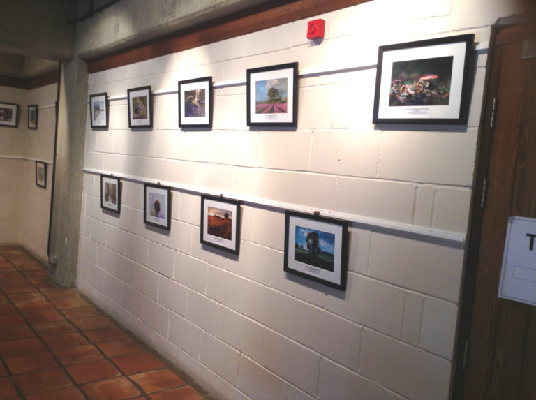 Stephanie Drury - Surrey Life testimonial photo Denbies